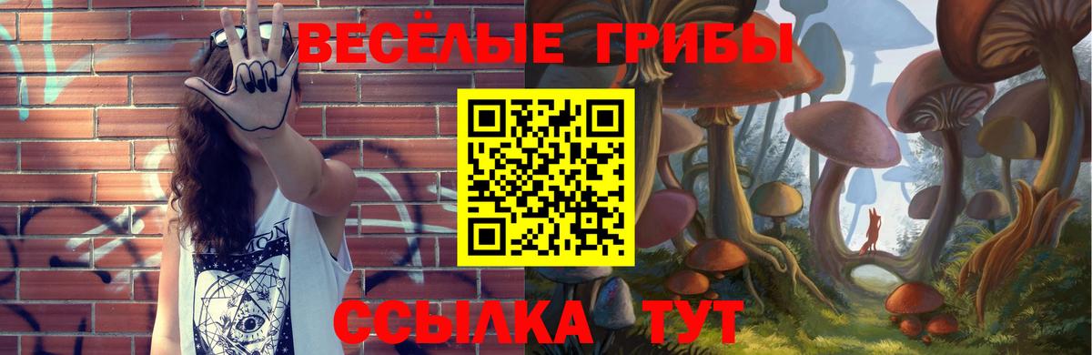 Галлюциногенные грибы мухоморы Пушкино